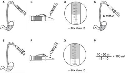 Serial Measurements of Refractive Index, Glucose and Protein to Assess Gastric Liquid Nutrient Transport—A Proof-of-Principal Study